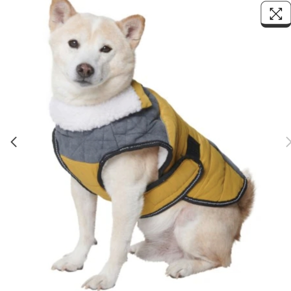 Eddie Bauer PET High Rock Padded Yoke Coat, Dijon Size Large